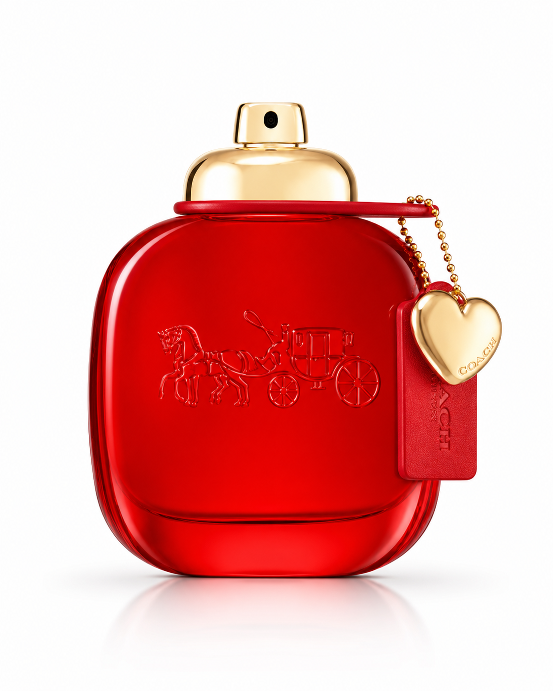 Love EDP by Coach